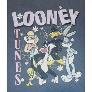 Looney Tunes Womens XXXL /22 Gray Short Sleeve Tee Shirt
